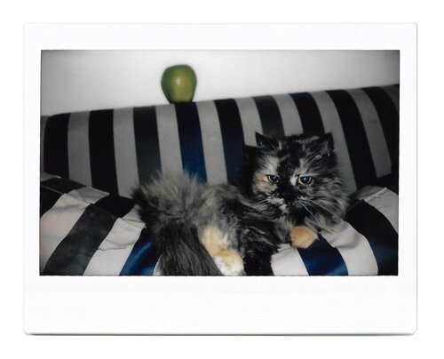 Myra With An Artificial Apple